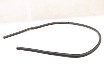 Outer Door Seal / Weather Stripping 3C8837701B