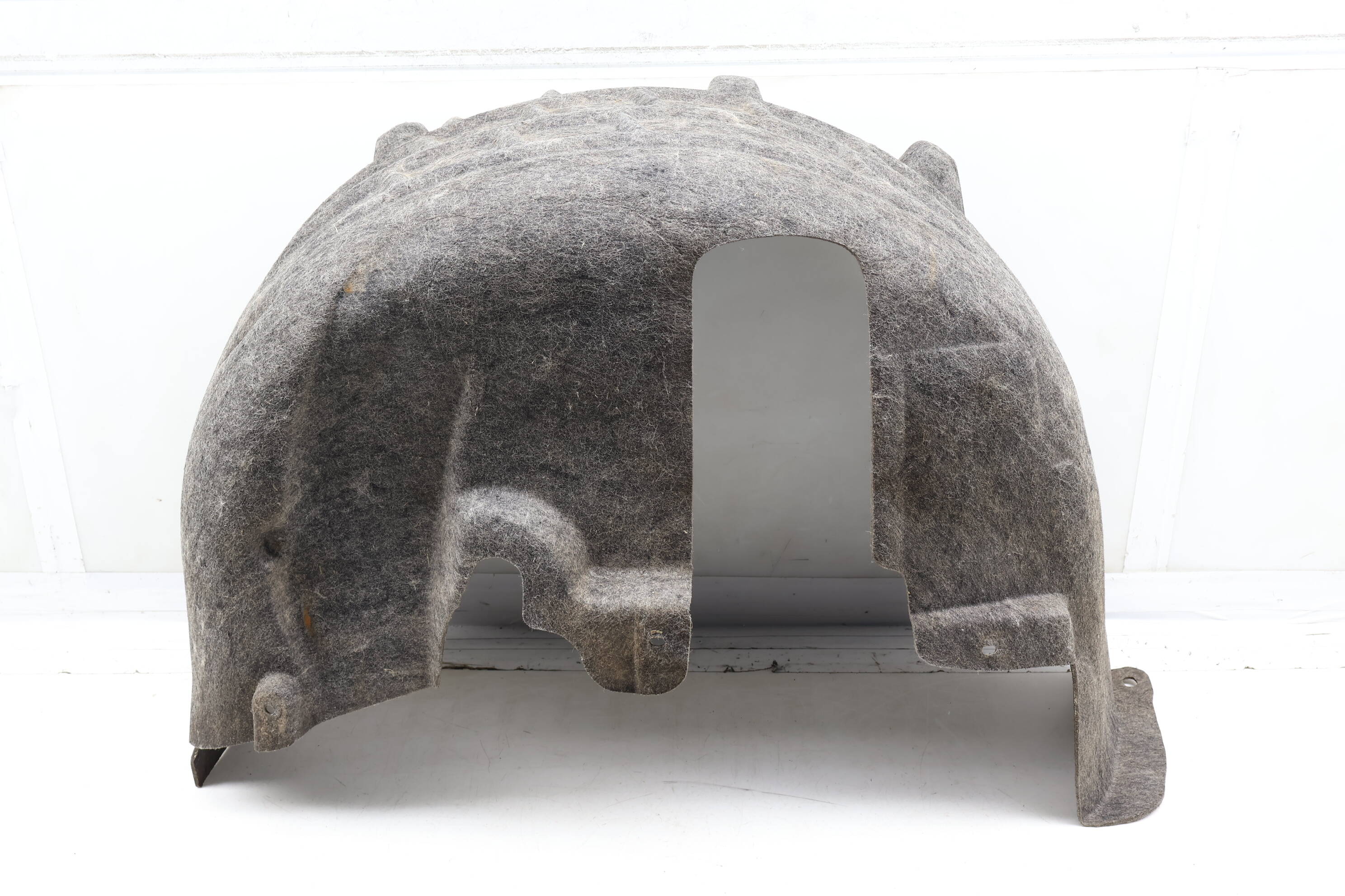 Fender Liner / Splash Guard 3CN810972