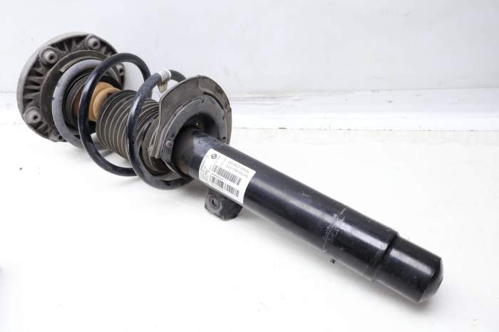 Strut Shock / Spring Assembly 31316886261 main product photo