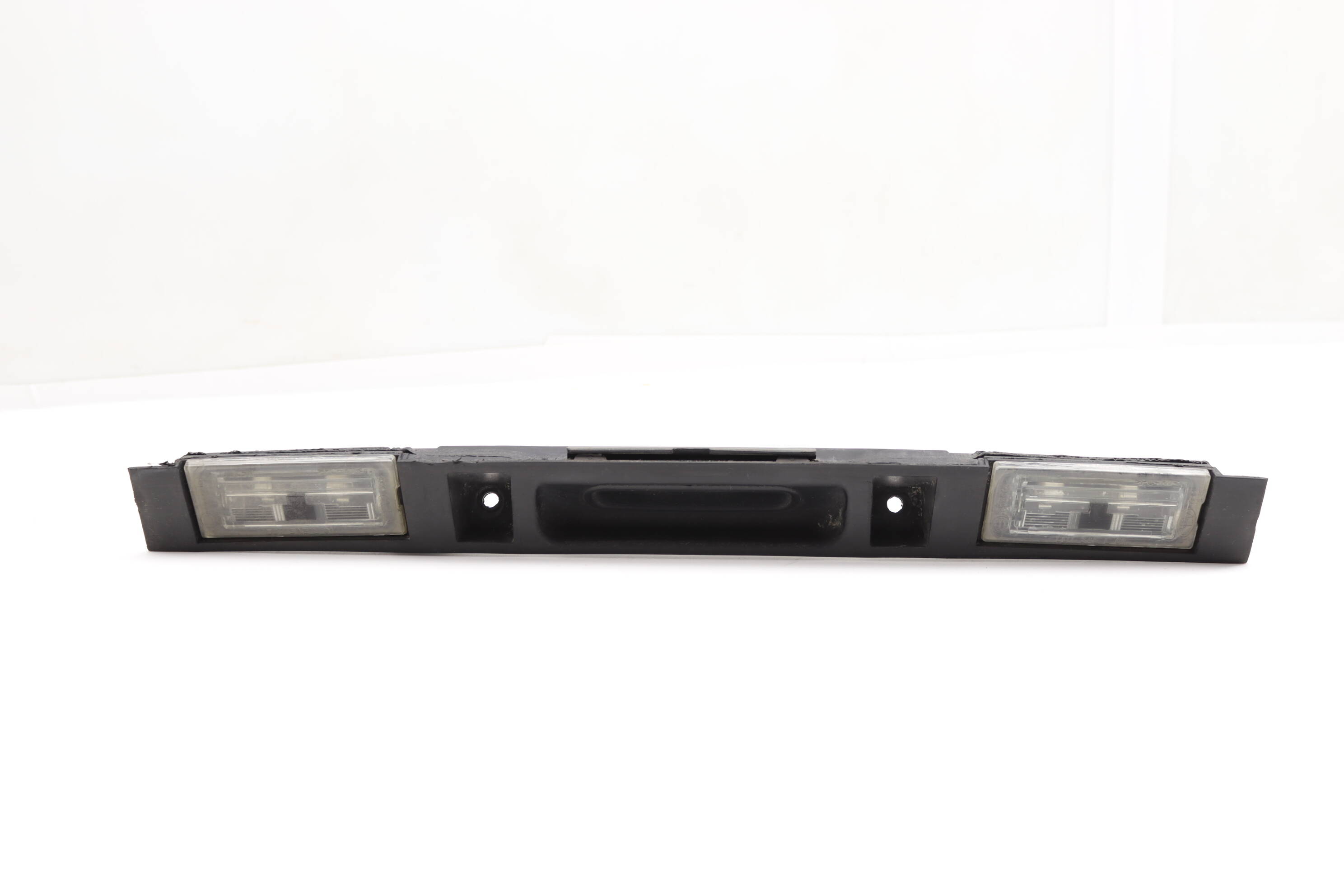 BMW Trunk Hatch Handle / License Plate Light (X3) 51137054941