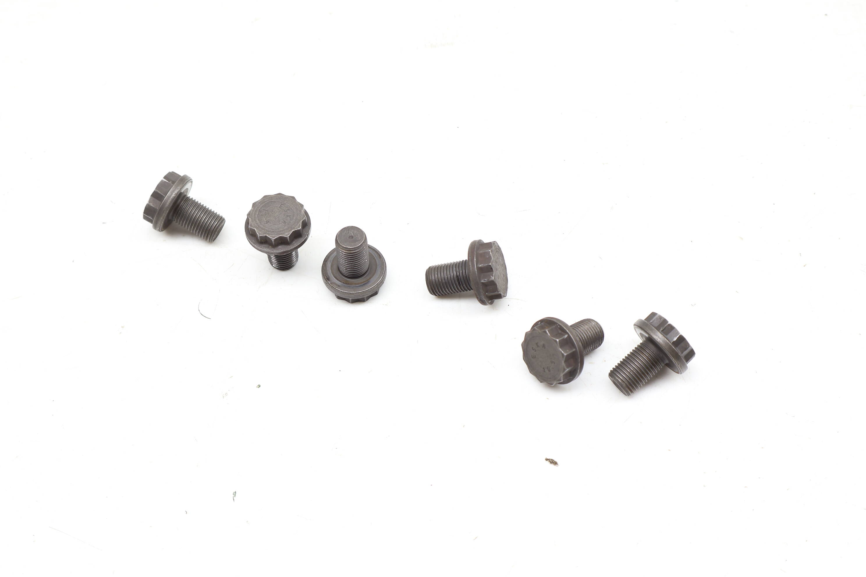 12 Point Screw / Bolt Set (6) N91143203