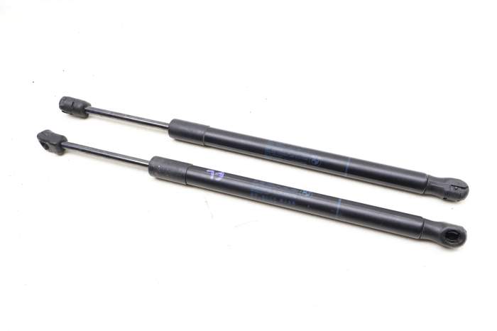 Hood Strut / Shock Absorber Set 51237294524 main product photo