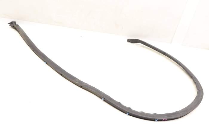 Lower Door Weather Stripping / Seal (Outer) 5GM839700B main product photo