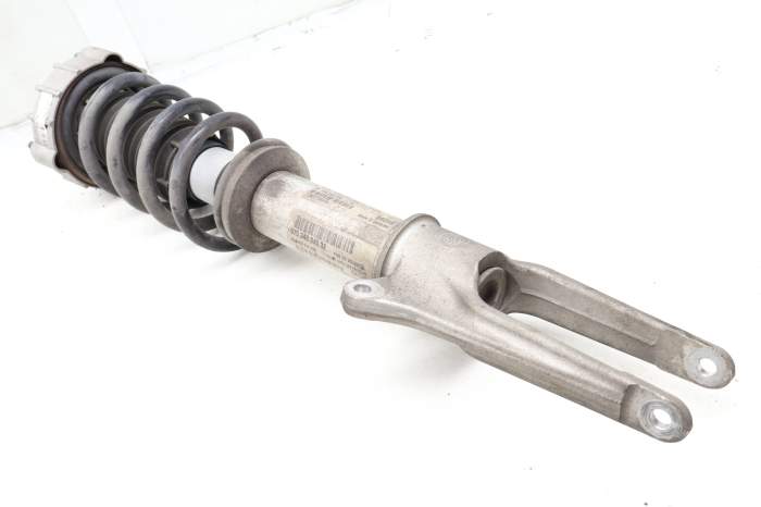 Strut Shock / Spring Assembly 97034303688 main product photo