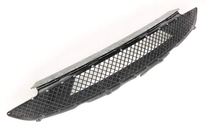 Lower Bumper Grille (Center) 7016061 main product photo