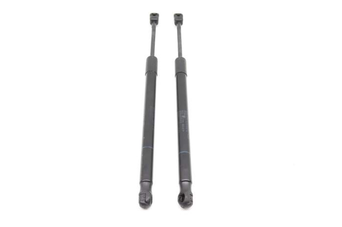 Hood Strut / Shock Absorber Set 51237294524 main product photo