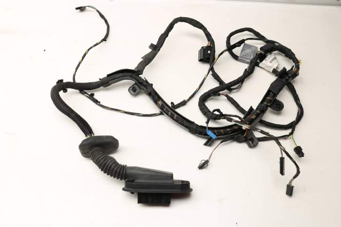 BMW Front Right Door Wiring Harness / Loom (M6, 650i BMW Front Right Door Wiring Harness / Loom (M6, 650i