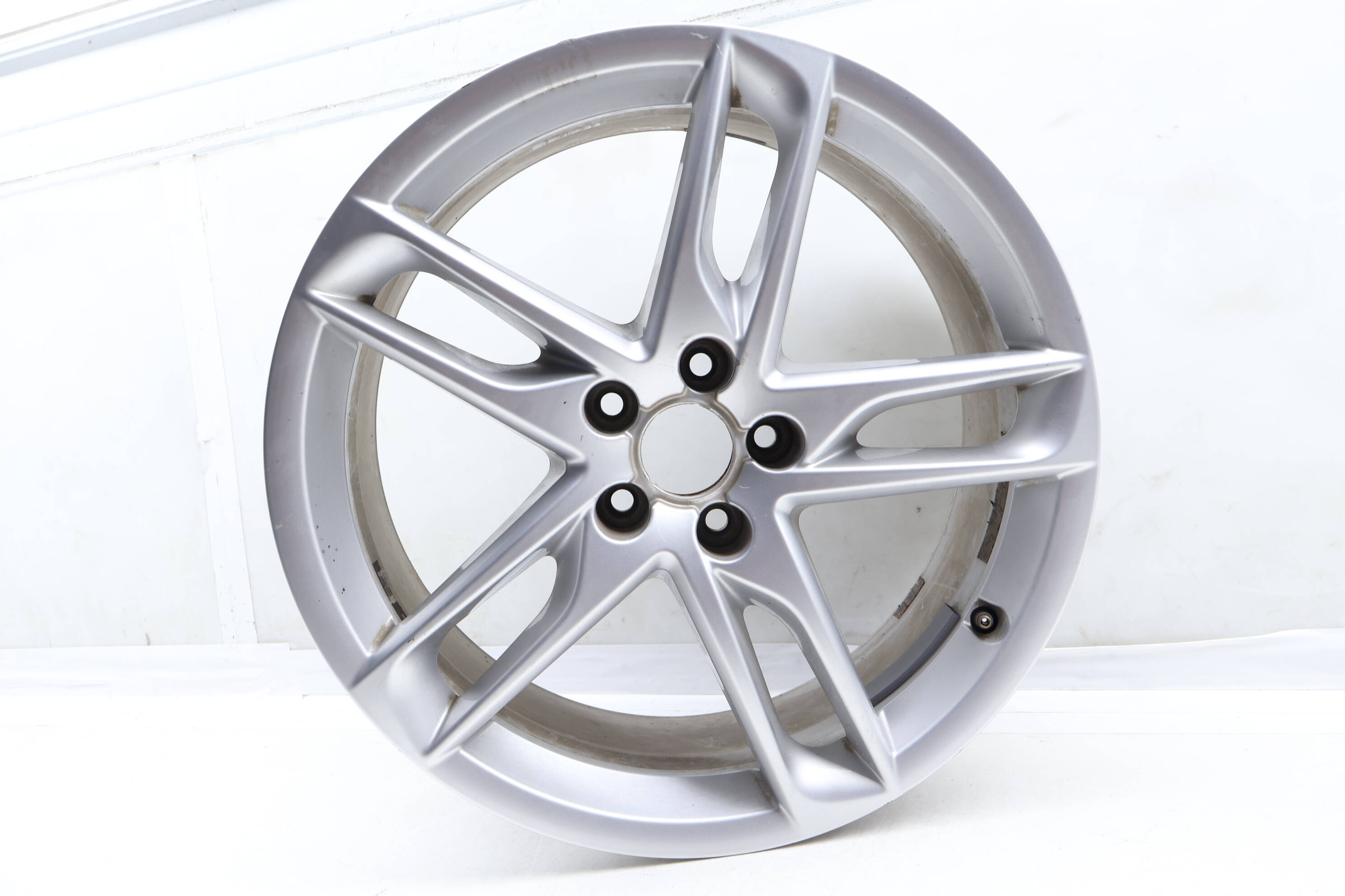 19" Rim / Wheel (10-Spoke) 8R0601025BN