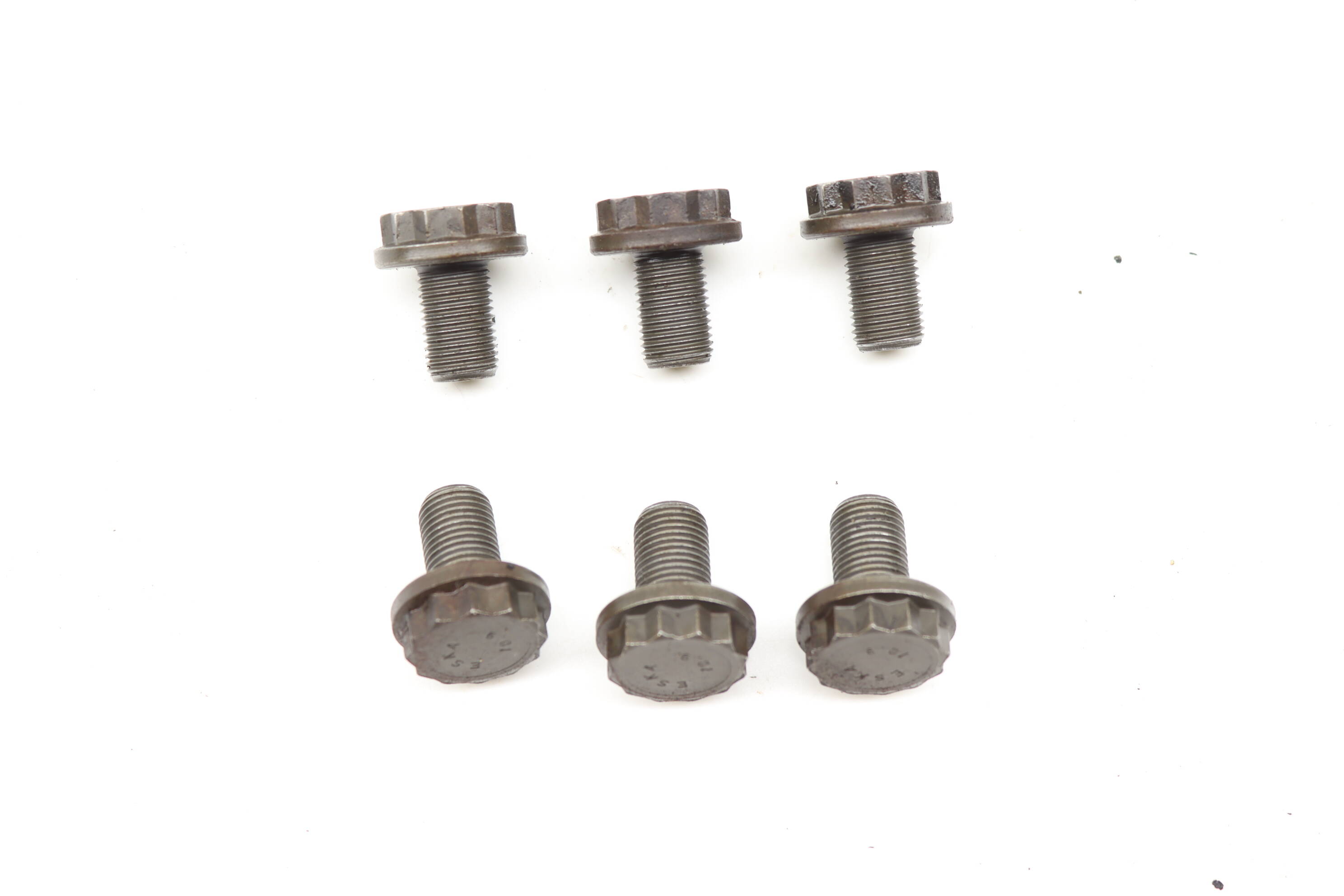 12 Point Screw / Bolt Set (6) N91143203