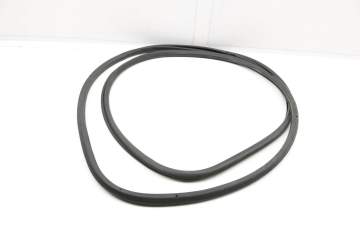 Door Seal / Weather Stripping (Outer) 97053627600
