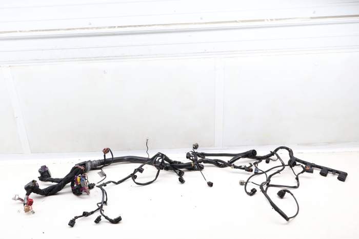 Bwt Engine Wiring Harness 8H1971072L main product photo