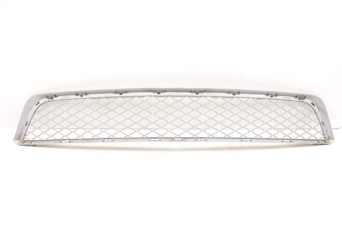 Lower Center Bumper Grille 51117222854 main product photo