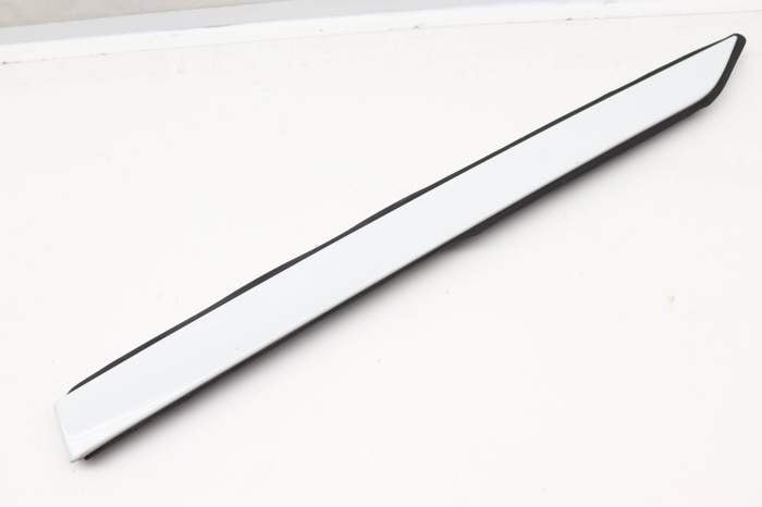 Exterior Roof Trim / Molding FK7250463A main product photo