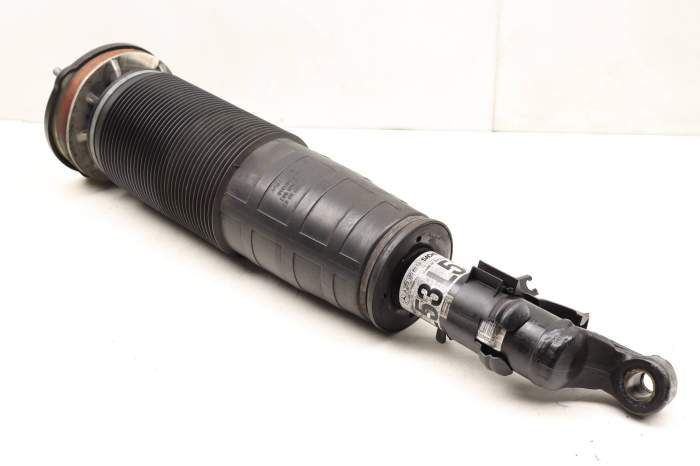 Abc Strut / Shock Absorber Assembly 2223208313 main product photo