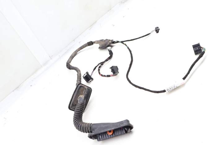 Door Wiring Harness 561971694CM main product photo