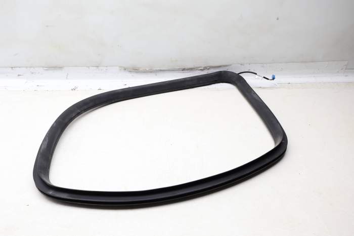 Quarter Panel Window Seal / Weather Stripping 1666808900 main product photo