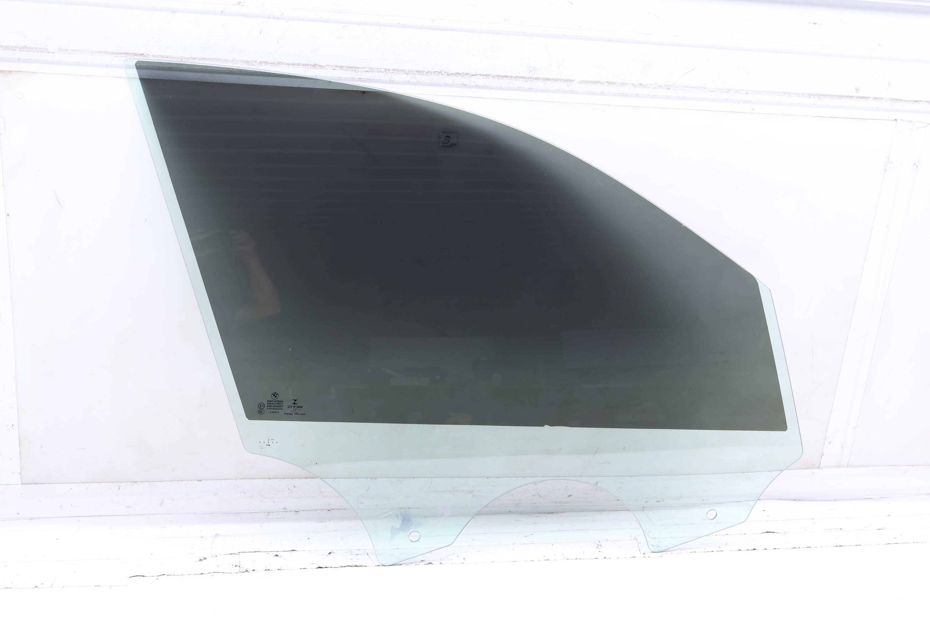 Door Window Glass 51337339892