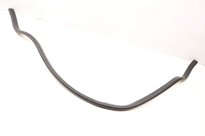 Rain Tray Seal / Firewall Weather Stripping 5N0823723B main product photo