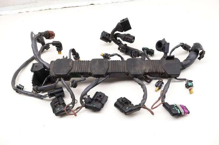 Ignition Coil Wiring Harness / Conduit 079971821H main product photo