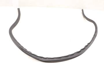 Cowl / Firewall Weather Stripping / Seal 3C0823723