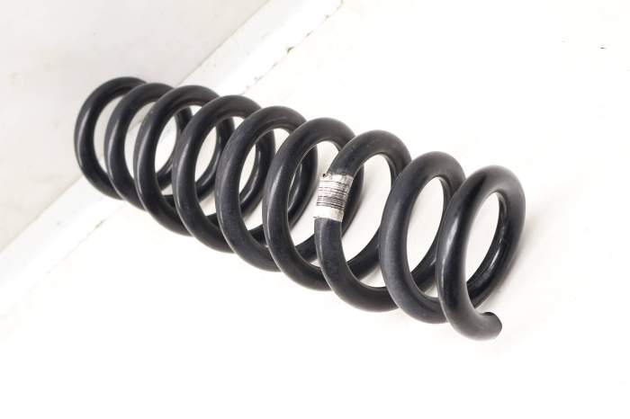 Coil Spring 6851729 main product photo