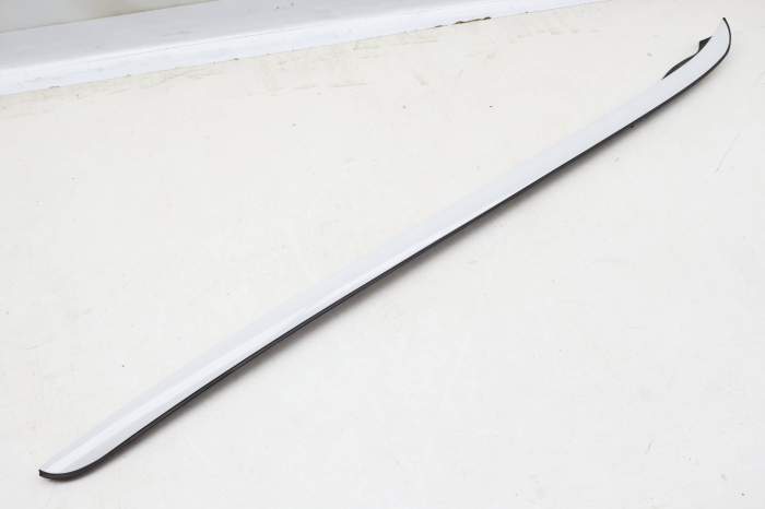 Windshield Drip Molding / Trim 51317338616 main product photo