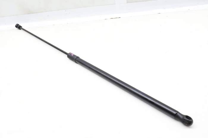 Hood Strut / Shock 5GM823359A main product photo