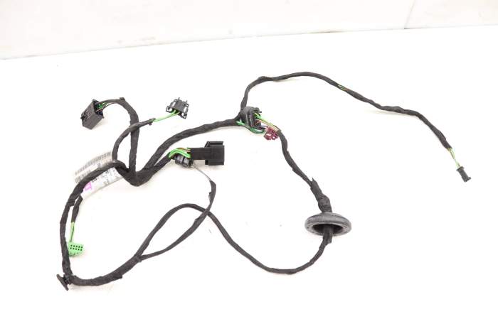 Door Wiring Harness 2465404805 main product photo