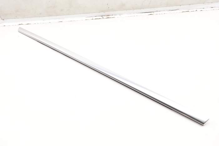Outer Door Window Slot Seal / Trim 83A839475 main product photo