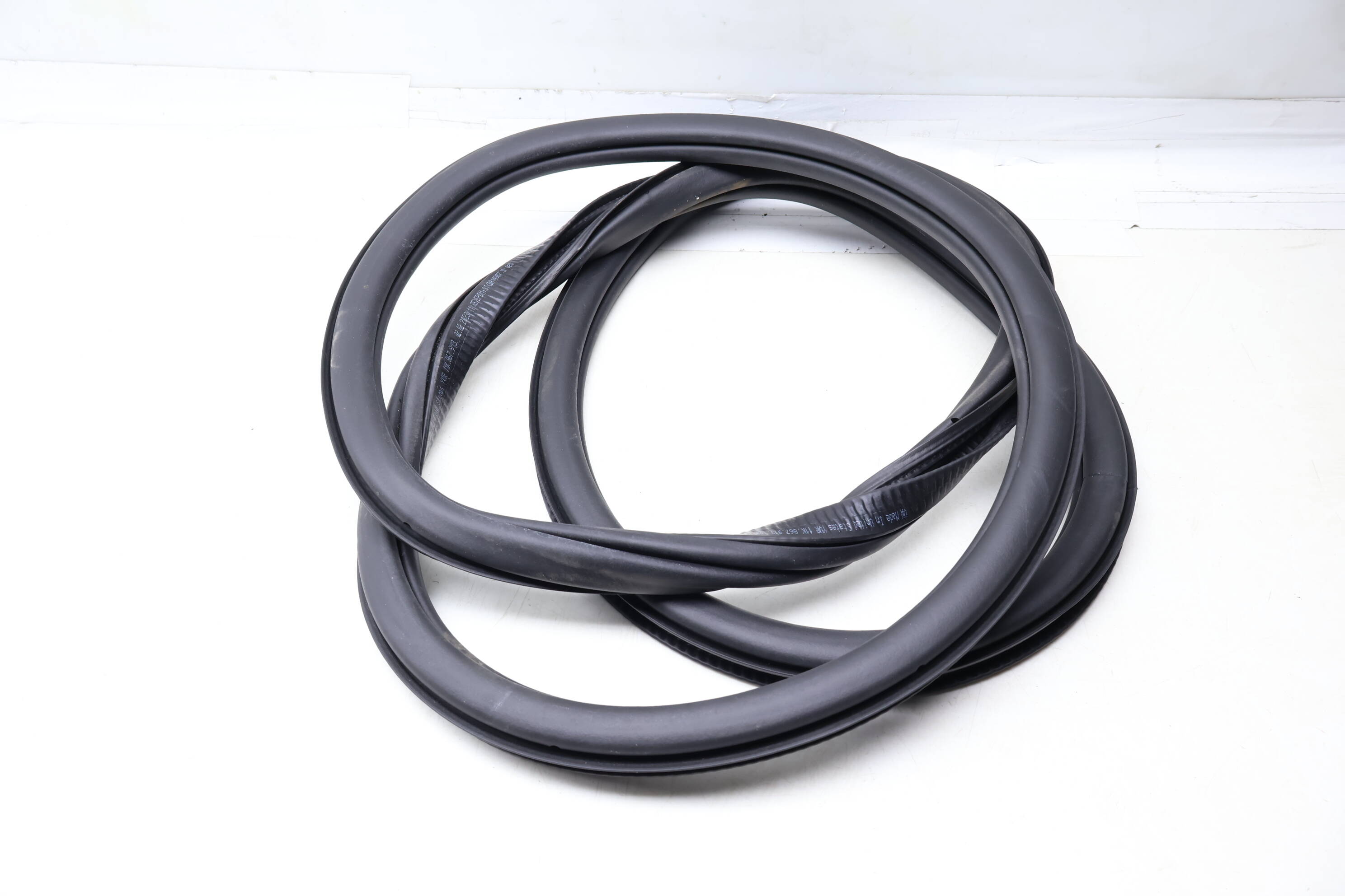 Door Seal / Weather Stripping (Inner) 11K867913