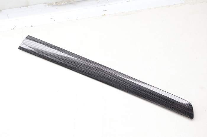 Door Panel Trim 561867419K main product photo