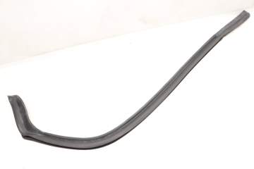 Door Seal / Weather Stripping (Outer) 80A839119B