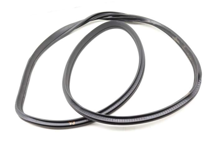 Outer Door Seal / Weather Stripping 1176920176 main product photo