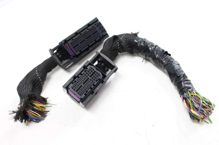 Ecu / Engine Control Module Wiring Harness / Connector Set main product photo