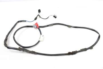 Shift Selector Wiring Harness 701971774T