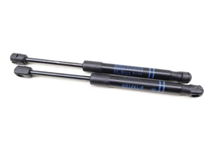 Hood Strut / Shock Set 51237397493 main product photo