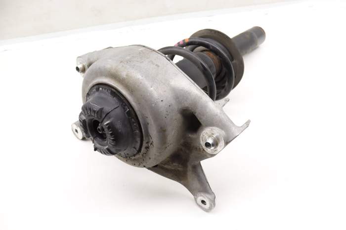 Strut Shock / Spring Assembly 8K0413031BB main product photo
