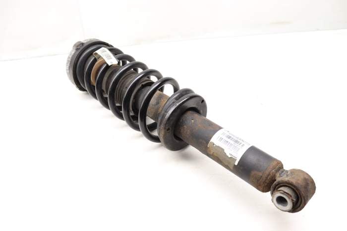 Strut Shock / Spring Assembly 33526796317 main product photo