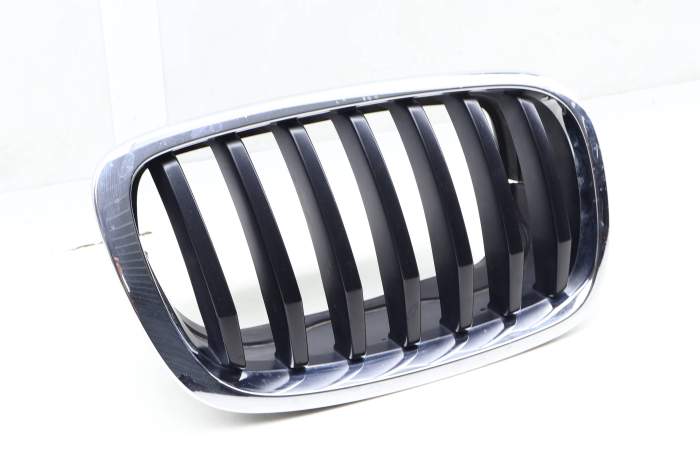 Hood / Kidney Grille 51137305592 main product photo