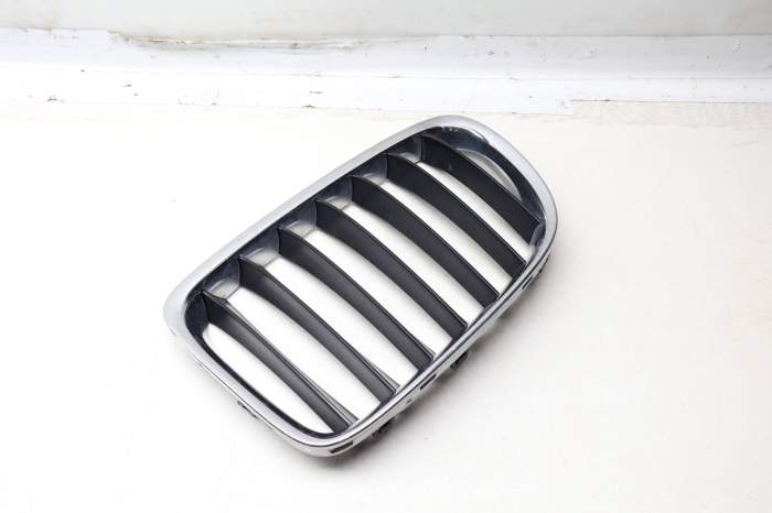Hood / Kidney Grille 51117347667 main product photo
