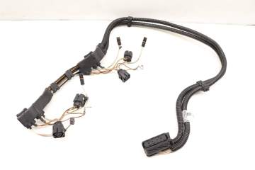 Engine Ignition Module Wiring Harness 12517649088