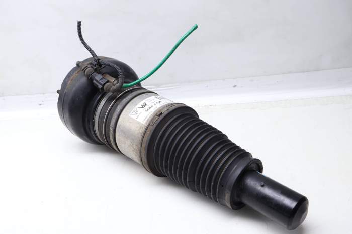 Air Ride Shock / Spring / Strut 95B616039 main product photo