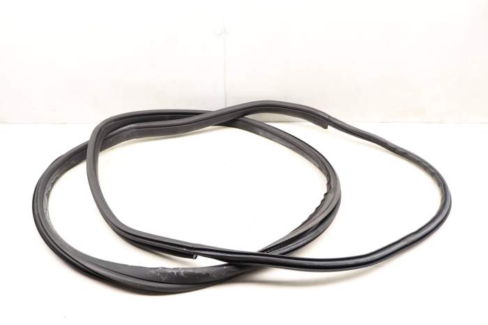 Door Seal / Weather Stripping 51767301749 main product photo