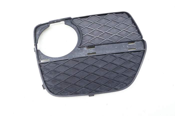 Lower Bumper / Fog Light Grille 51117312606 main product photo