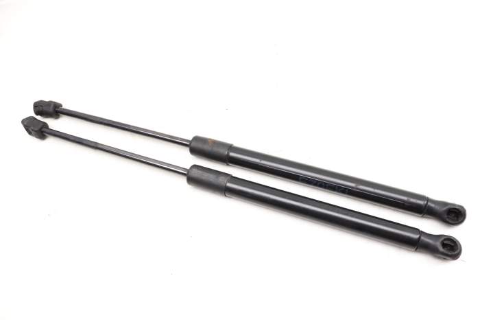 Hood Strut / Shock Absorber Set 51237148346 main product photo