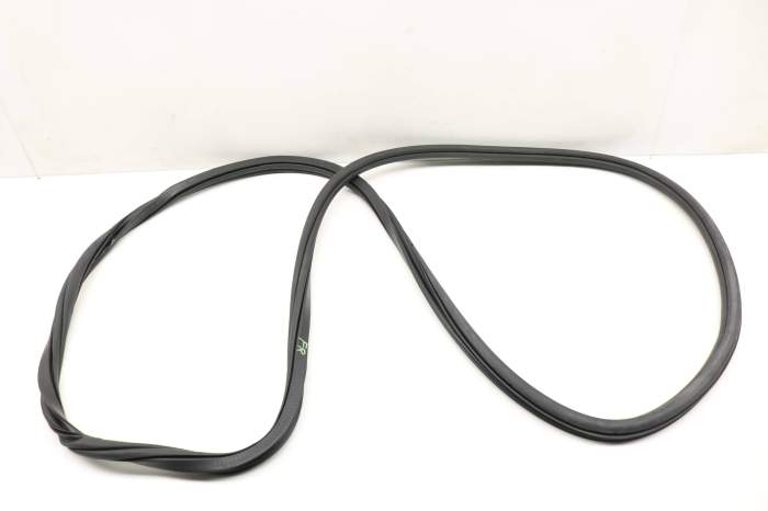 Inner Door Seal / Weather Stripping 5NN867912 main product photo