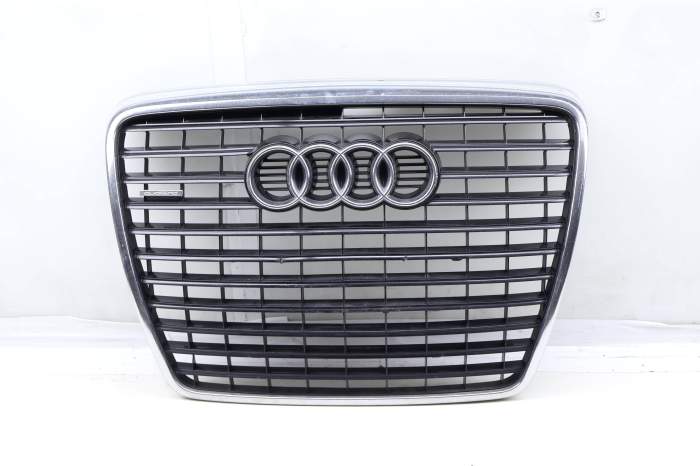 Center Bumper Grille 4F0853651AN main product photo